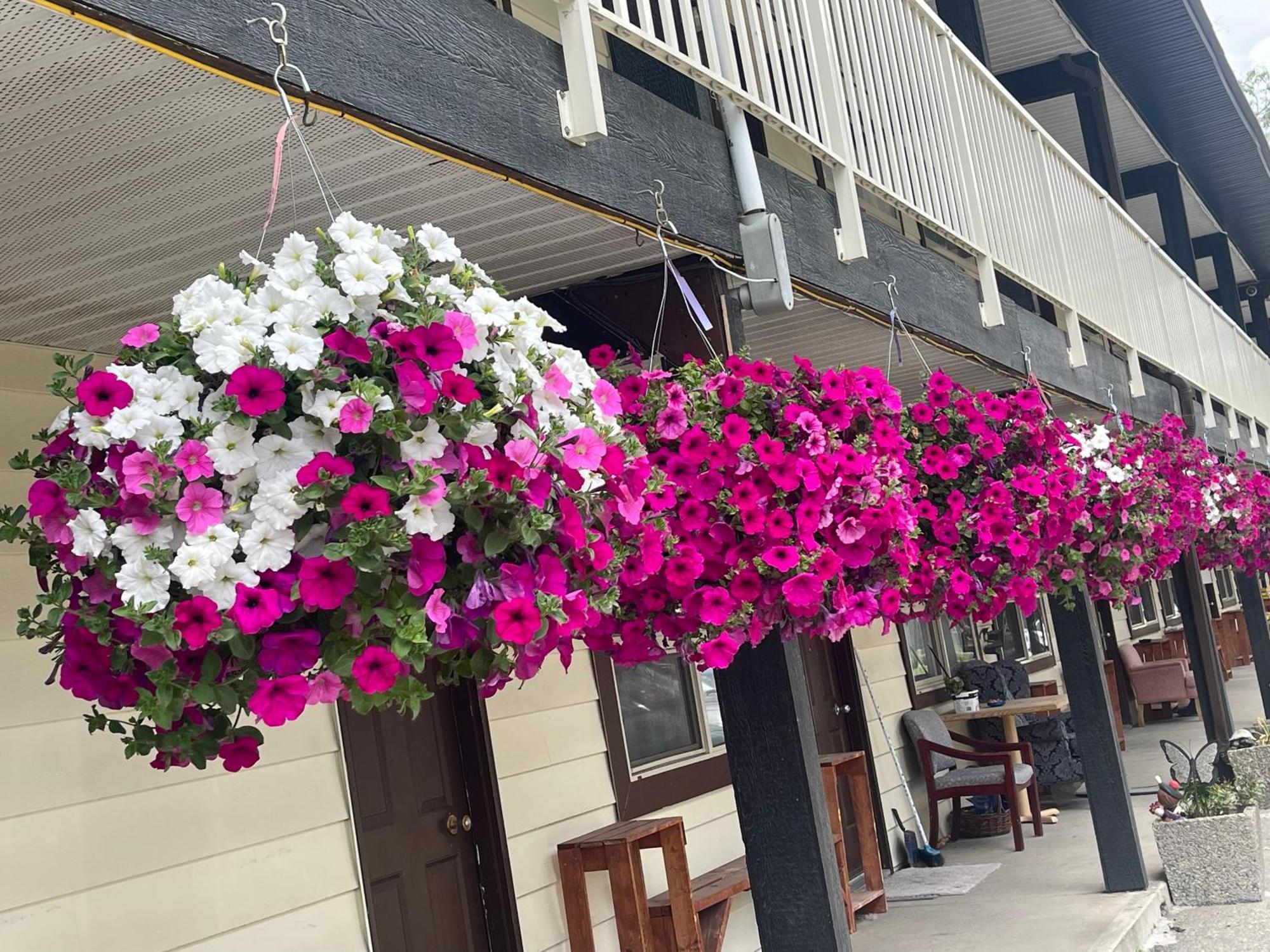 Twin Creeks Motel Lumby ภายนอก รูปภาพ